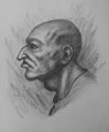 Michael Hensley Drawings, Human Heads 36